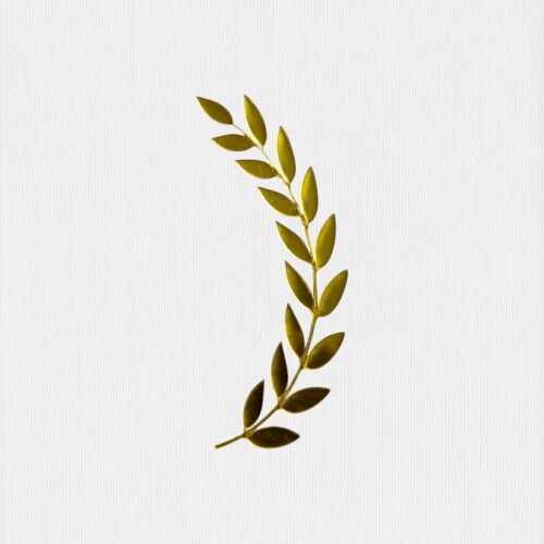 Long Leaf Acrylic cutout - Product Image