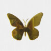 Butterfly Acrylic cutout - Product Image
