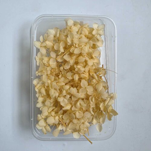 Dried Hydrangea Flowers Box Paking (F0076-21) - Product Image