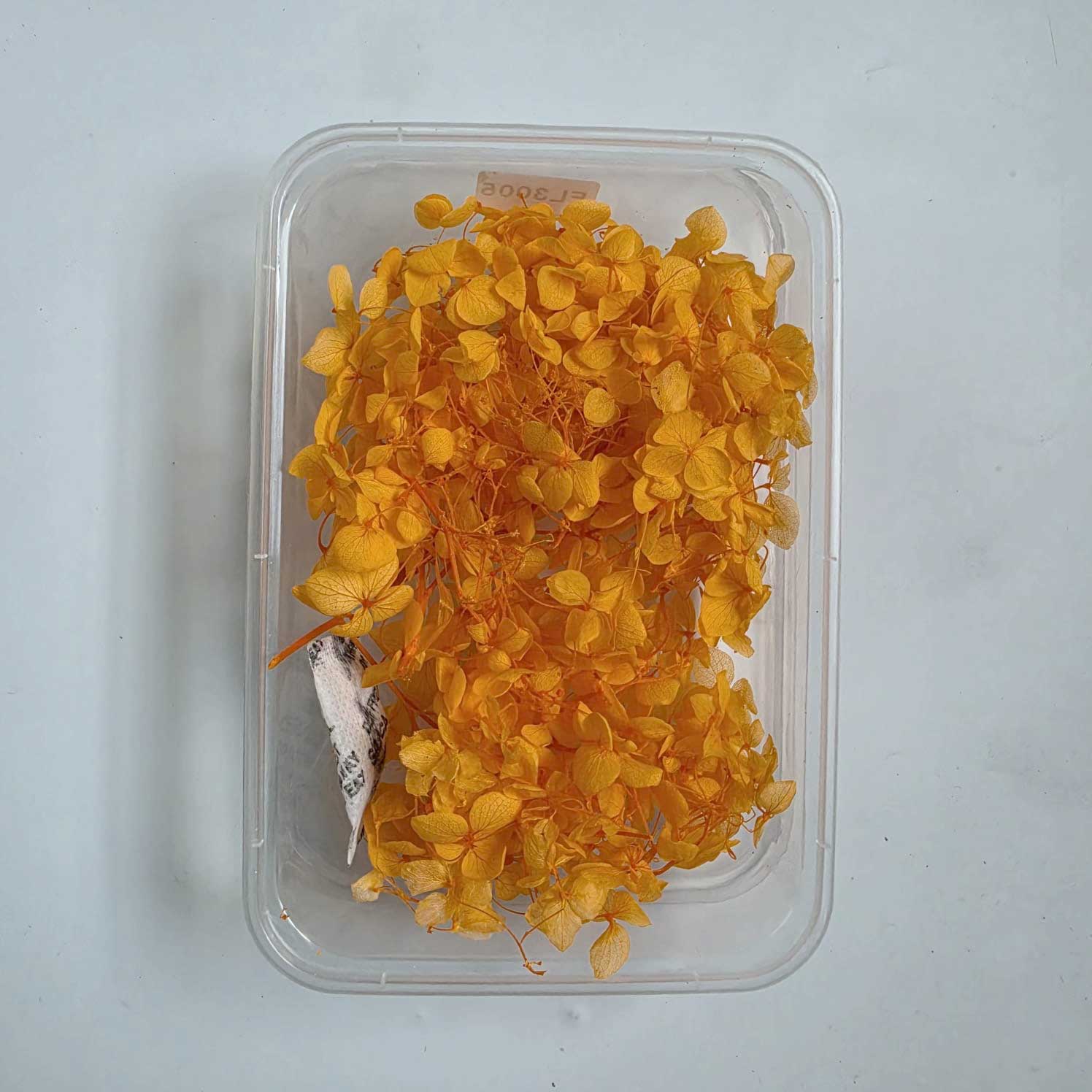 Dried Hydrangea Flowers Box Paking (TR646) 1 Dried Hydrangea Flowers Box