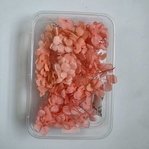 Dried Hydrangea Flowers Box