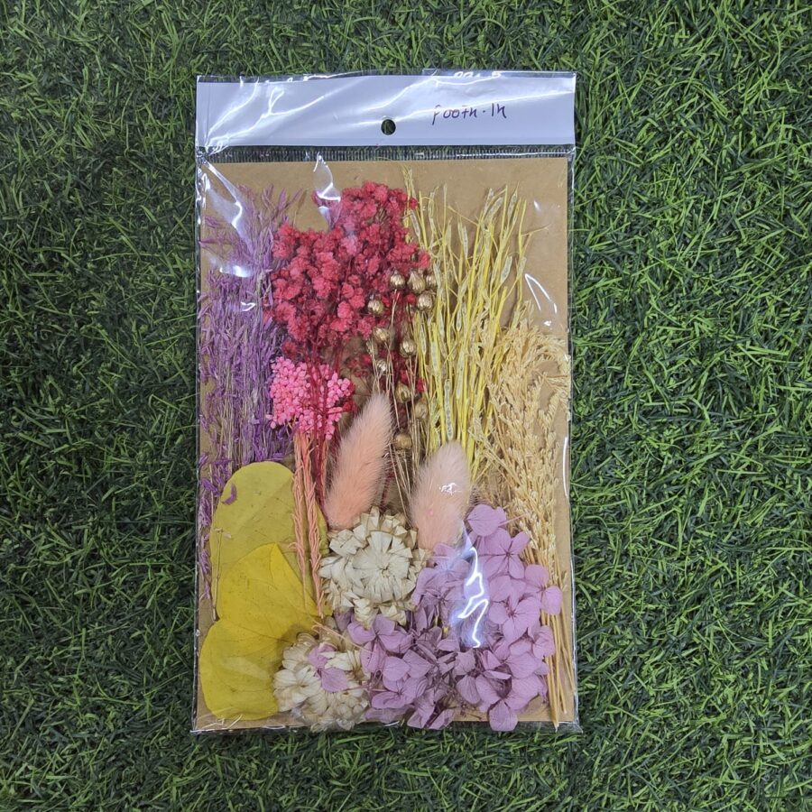 Mix Dry Flower Card Paking (F0074-14)