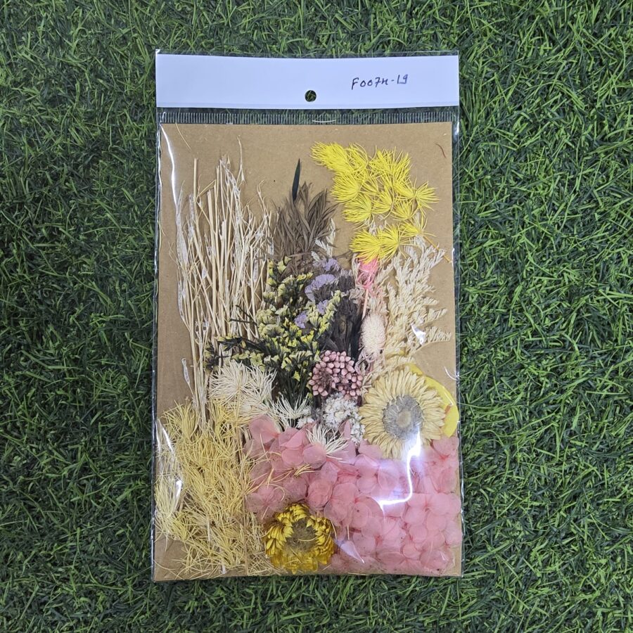 Mix Dry Flower Card Paking (F0074-19)