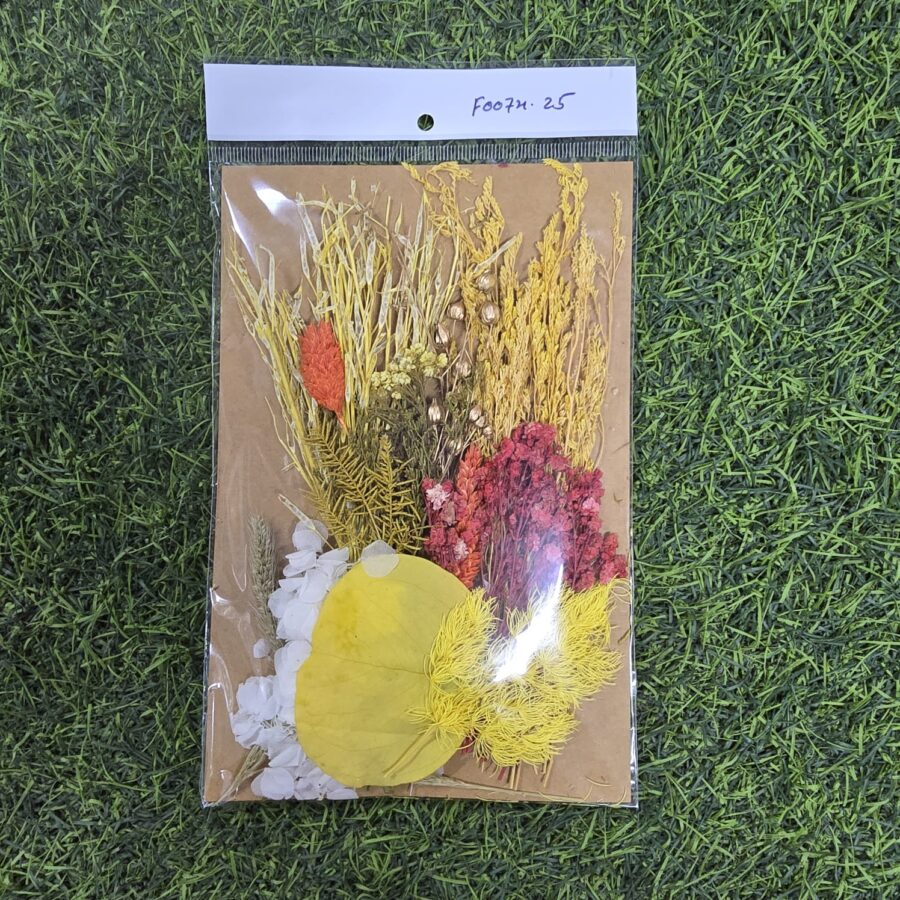 Mix Dry Flower Card Paking (F0074-25)