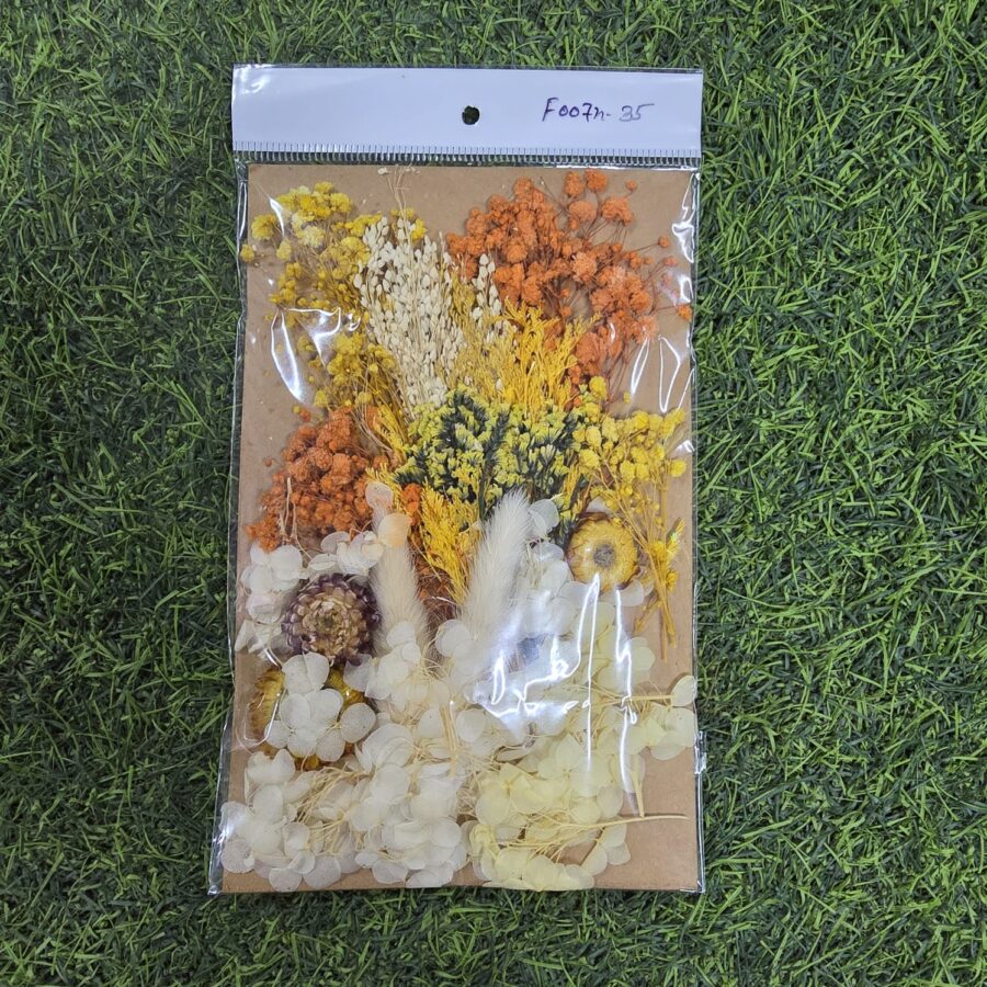 Mix Dry Flower Card Paking (F0074-35)