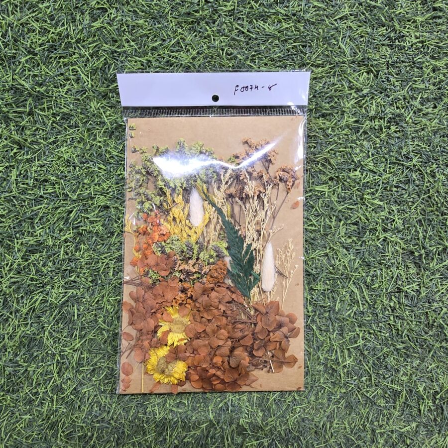 Mix Dry Flower Card Paking (F0074-8)