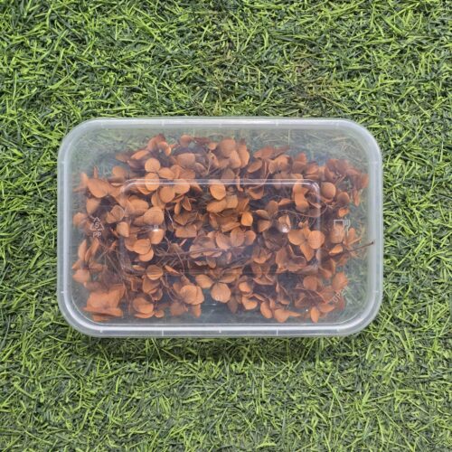 Dried Hydrangea Flowers Box Premium - Expert Resin Supplies