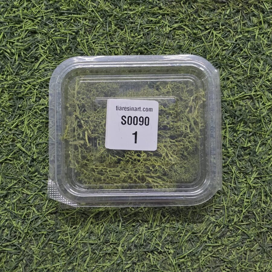 Moss Imported for Ocean Resin Art (S0090-1)