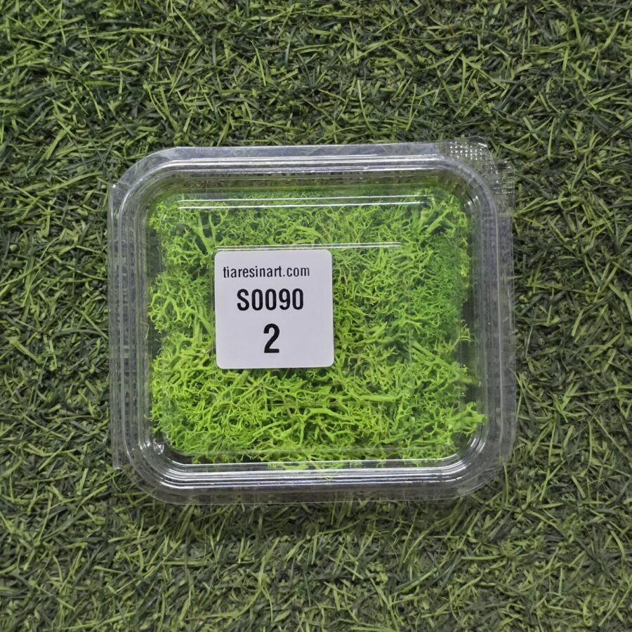 Moss Imported for Ocean Resin Art (S0090-2)