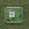 Moss Imported for Ocean Resin Art (S0090-3) - Product Image