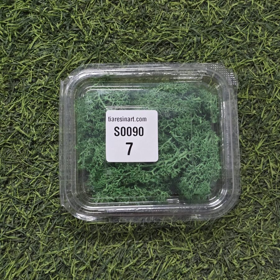 Moss Imported for Ocean Resin Art (S0090-7)