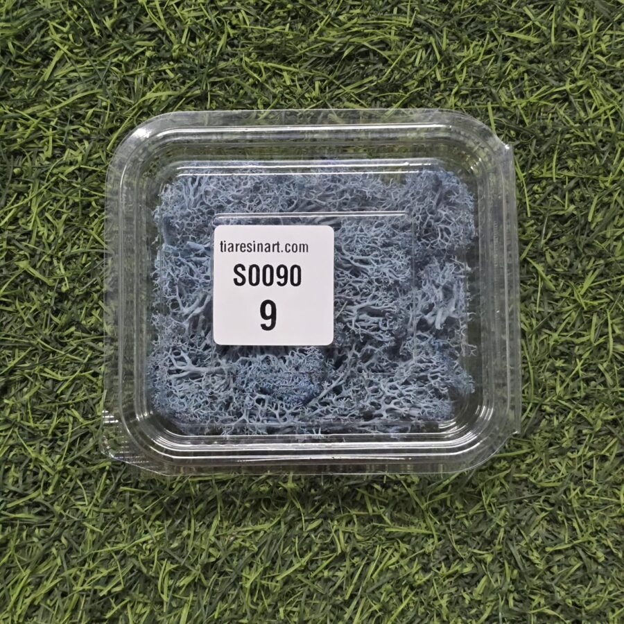 Moss Imported for Ocean Resin Art (S0090-9)