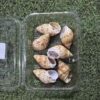 Sea Shells for Resin Art (02) - Product Image