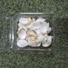 Sea Shells for Resin Art Ultimate - High-Quality Craft Supplies