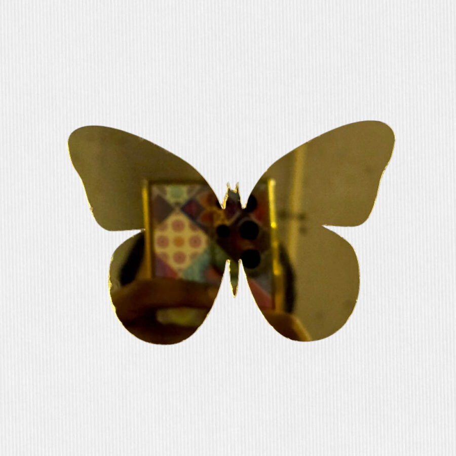 Butterfly Acrylic cutout