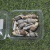 Sea Shells for Resin Art Premium – Ultimate Craft Supplies