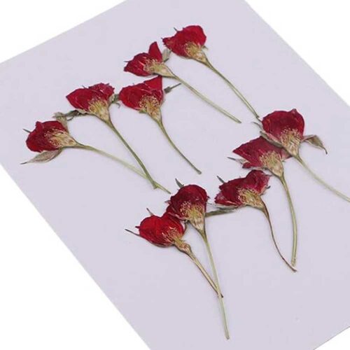 Red Rose Pressed Flower arrangement