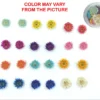 Mini Mix Dried Sun Flower - Product Image