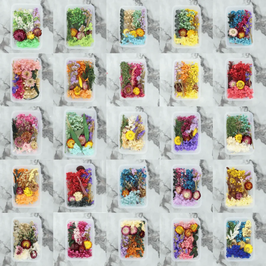 Dry Flower Random Colour (1Box) (TR782)