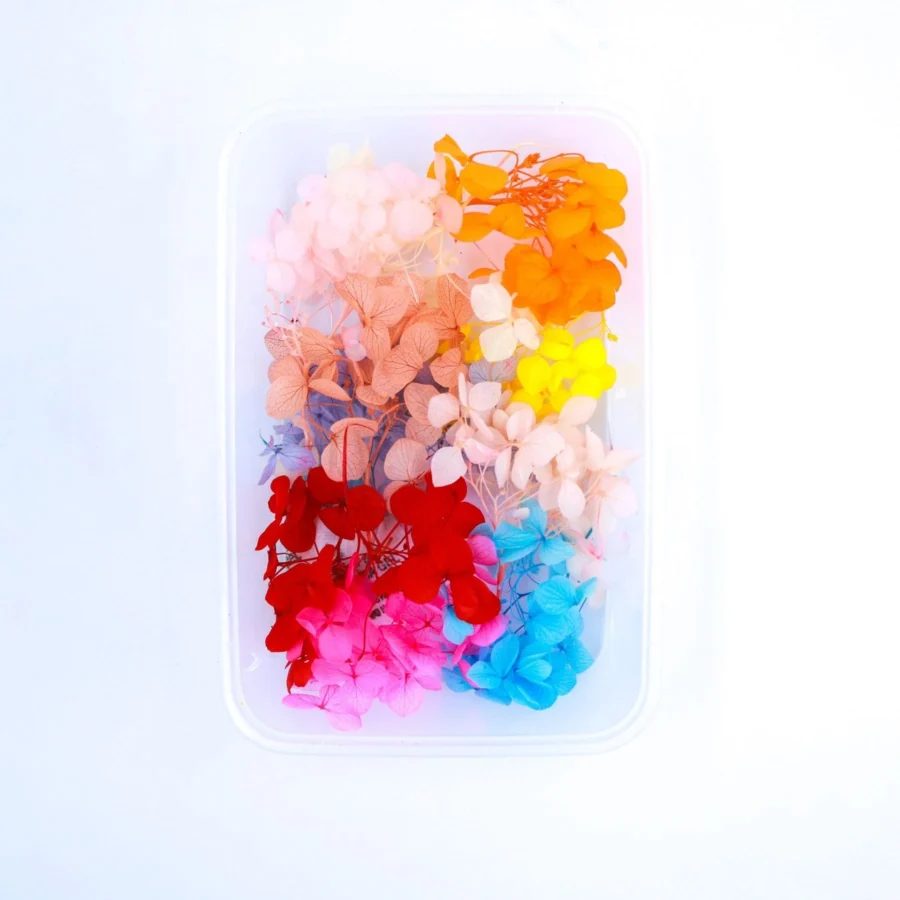 Dried Hydrangea Mix Flowers Box Paking (TR781)