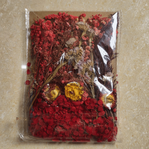 Mix Dry Flower Card Packing Premium for Resin Art