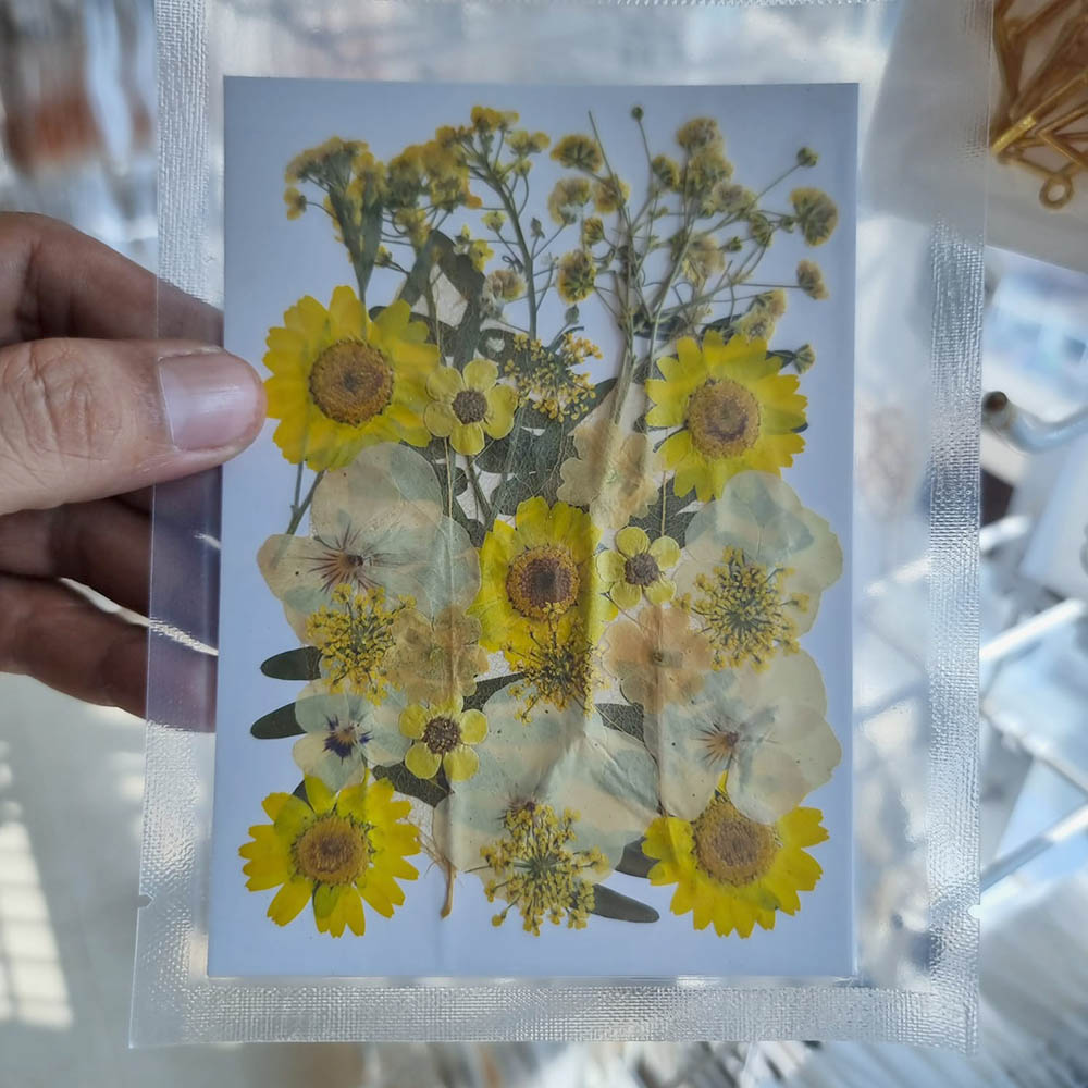 Pressed Dry flowers for resin art (TR1038) 1 Pressed Dry Flowers for Resin Ultimate - Natural Art Supplies