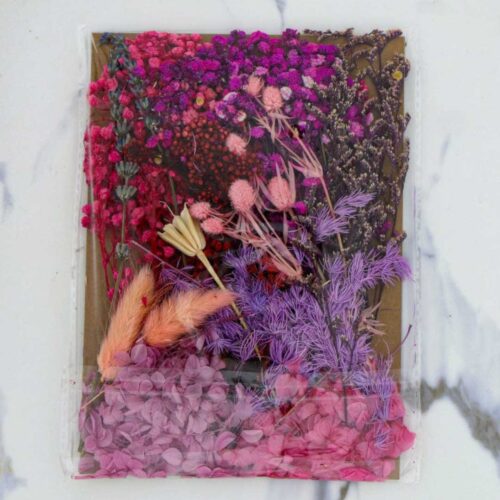 Mix Dry Flower Card Packing Ultimate for Resin Art
