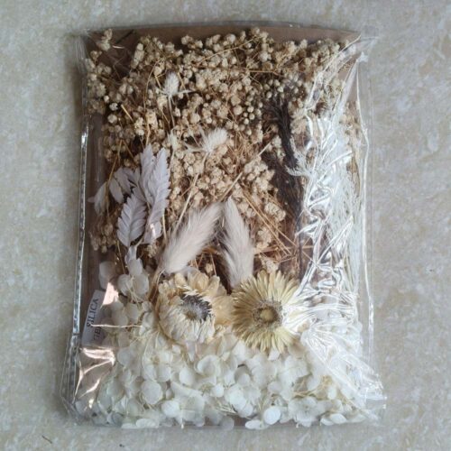 Mix Dry Flower Card Paking (TR773)