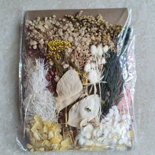 Mix Dry Flower Card Paking (TR1237)