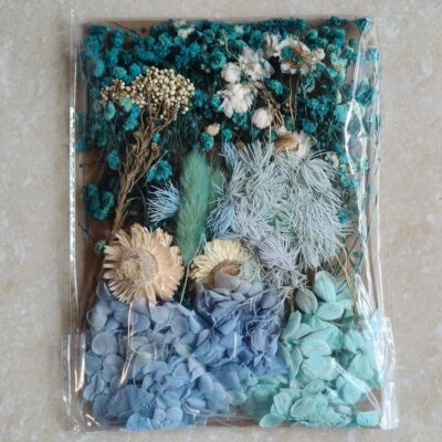 Mix Dry Flower Card Paking (TR1238)