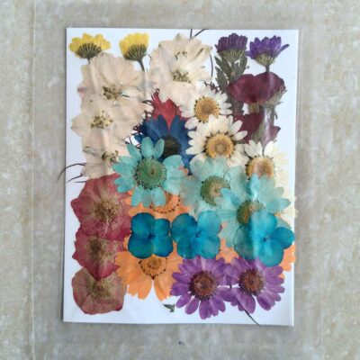 Pressed Dry 27 flowers for resin art (TR1240)