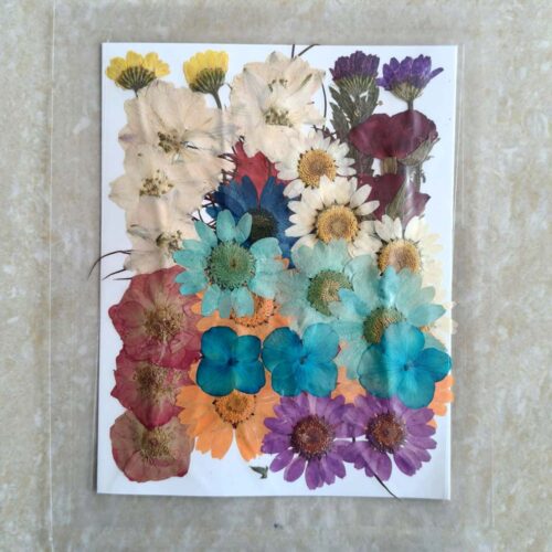 Pressed Dry 27 flowers Ultimate - High-Quality Resin Supplies