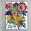 Pressed Dry Flowers Premium - Ultimate Resin Art Supplies