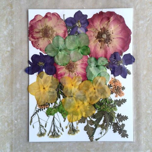 Pressed Dry Flowers Premium - Ultimate Resin Art Supplies