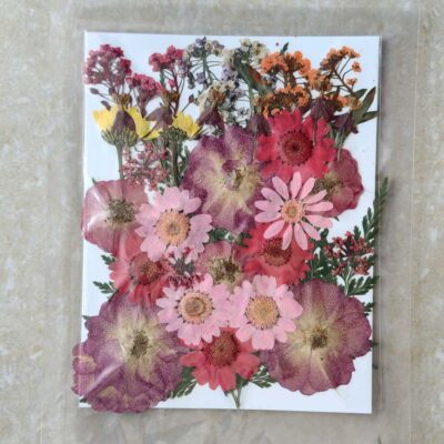 Pressed Dry flowers for resin art (TR1248)