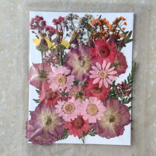 Pressed Dry Flowers for Resin Ultimate - Premium Art Supplies