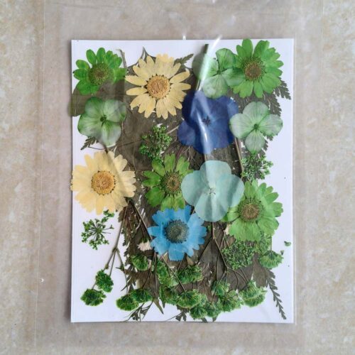 Pressed Dry Flowers for Resin Art Ultimate - Vibrant Floral Embellishments