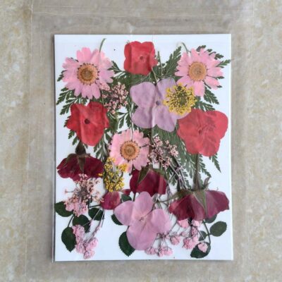 Pressed Dry flowers for resin art (TR1249)