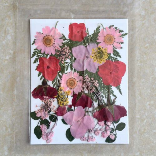 Pressed Dry flowers resin Premium - Ultimate Art Supplies