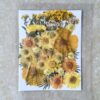 Pressed Dry Flowers Ultimate - High-Quality Resin Art Supplies