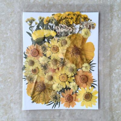 Pressed Dry 40 flowers for resin art (TR1243)