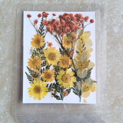 Pressed Dry flowers for resin art (TR1244)