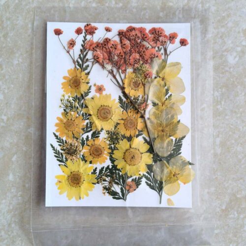 Pressed Dry Flowers for Resin Art Ultimate - Natural Floral Embellishments