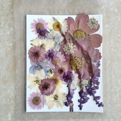 Pressed Dry Flowers for Resin Art Premium - Ultimate Supplies