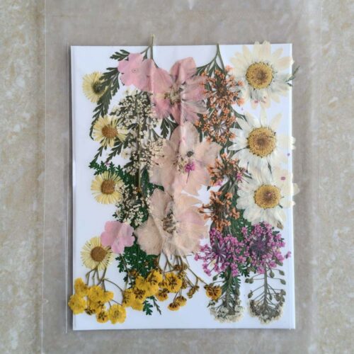 Pressed Dry Flowers Ultimate - Professional Resin Art Supplies