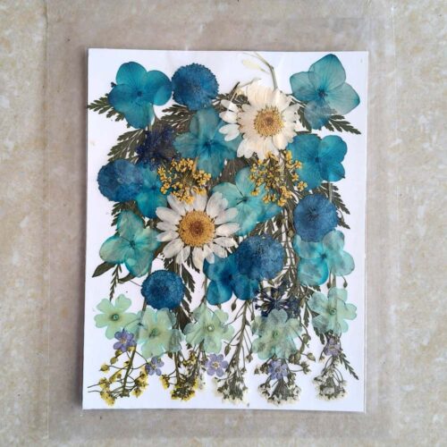Pressed Dry flowers for resin Ultimate - Premium art supplies