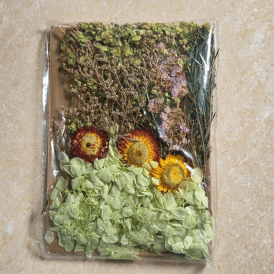 Mix Dry Flower Card Paking (TR1053)