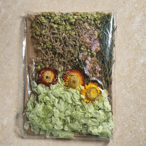 Mix Dry Flower Card Premium - Essential Resin Art Supplies