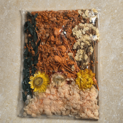Mix Dry Flower Card Paking (TR773)