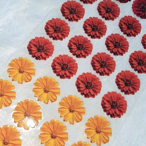 Flowers UV DTF Sticker for Resin art (TR2002)-